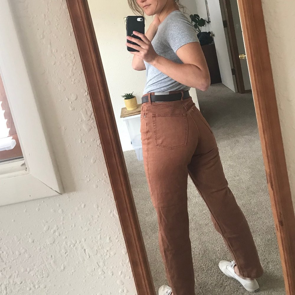 Everlane Way High Jean Rich Earth 26